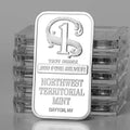 NWT Silver Bar – 1 oz (5-Pack, Vacuum Sealed)