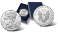 2022 American Silver Eagle Münze (1 Feinunze)