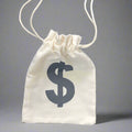 Dollar Sign Storage Pouch